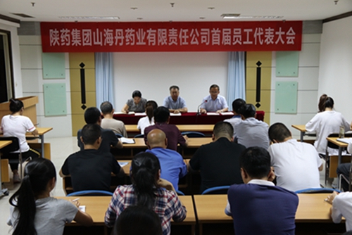 �T����������F(xi��n)��